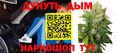 гидра Новокубанск