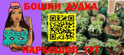 мдпв Новодвинск