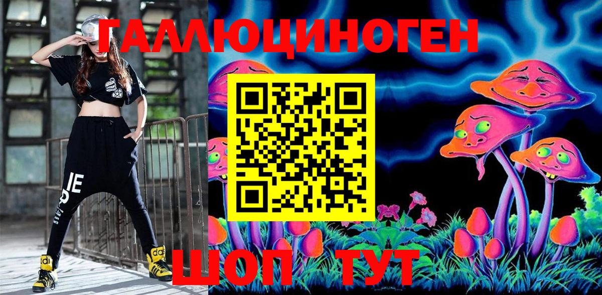 где найти   Вход с VPN  Ухта  Псилоцибиновые грибы Psilocybine cubensis 