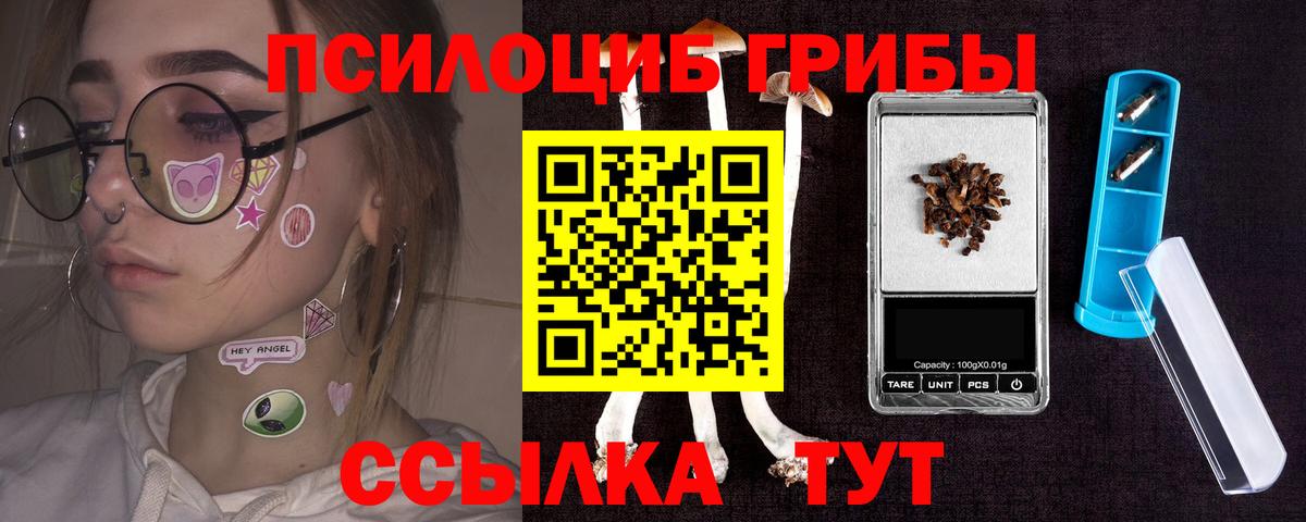 Псилоцибиновые грибы Psilocybe Ухта